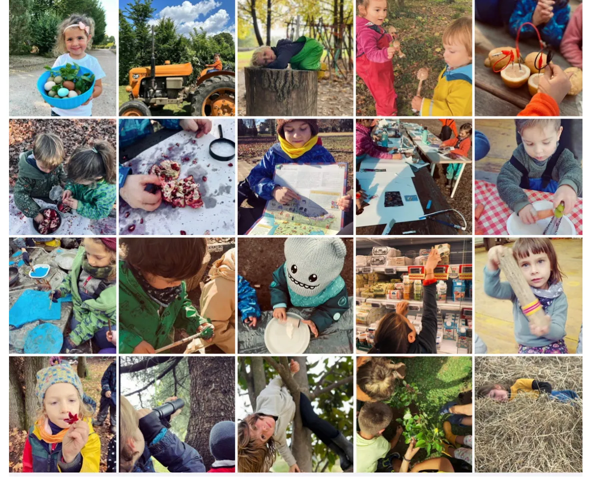 Attività e immagini relative a outdoor education: asilo nel bosco
